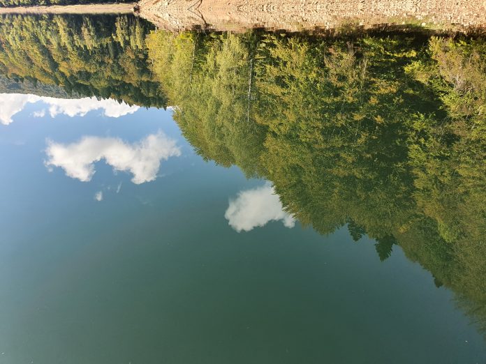 upsidedown